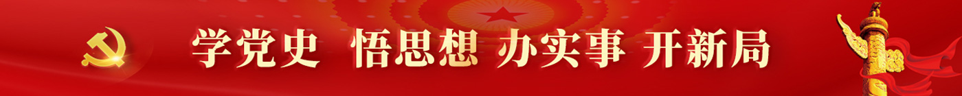 学党史 悟头脑 办实事 开新局
