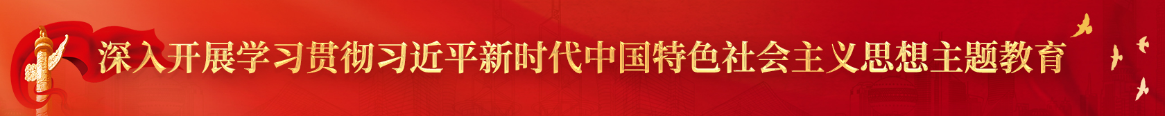深入开展学习贯彻习近平新时代中国特色社会主义头脑主题教育
