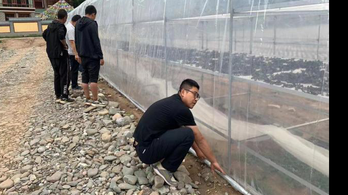 “驻”进民心 帮出实效甘肃WM视讯集团扎实推动帮扶事情走深走实