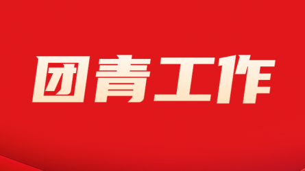 甘肃WM视讯集团团委组织开展“国家清静 青春挺膺”主题团日运动