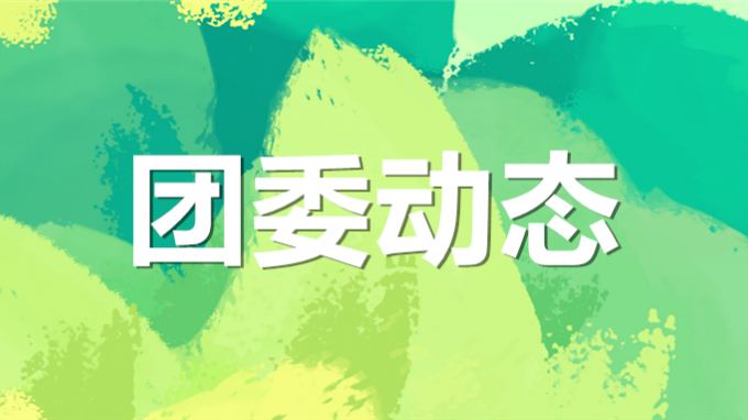 集团公司2024年度团干部暨青年主干培训班圆满结业